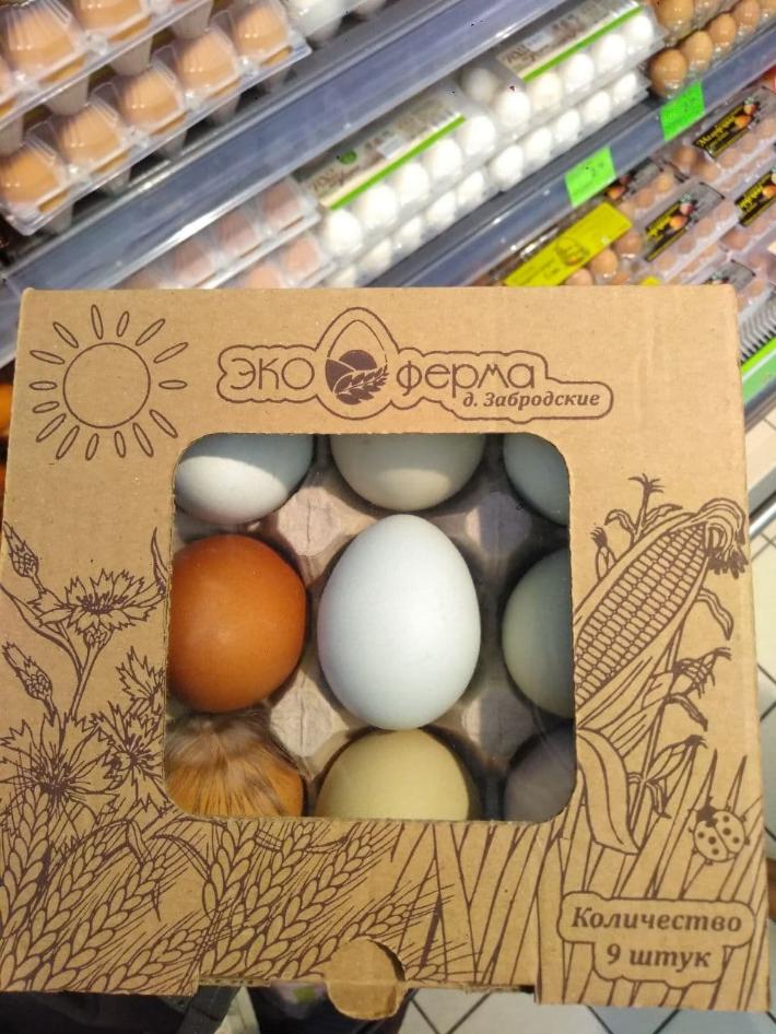 Купить яйца в белоруссии. Белорусские яйца. Девяток яиц. Белорусские яйца в магните. Яйца чемоданчик Белорусские.
